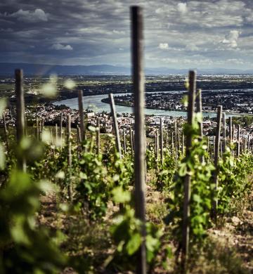 image stock paysage