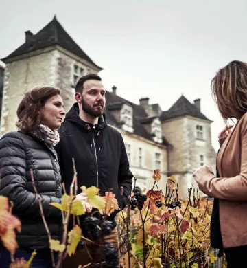 3 personnes dans un vignoble en Bourgogne