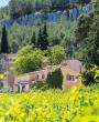 © EvanDeSousa_Chateau Barbanau