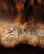 92 animaux en mouvement sont représentés dans le panneau des lions, salle du fond © Patrick Aventurier - Grotte Chauvet 2 Ardèche