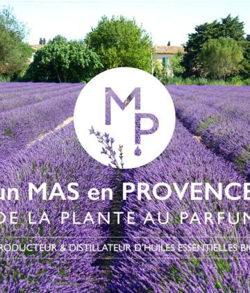 Un Mas en Provence