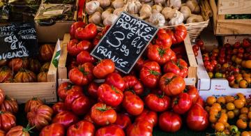 food in provence