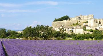 Lavender field and castle in Grignan, France