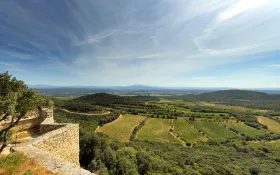 VINS-COTES-DU-RHONE-GARDOISES