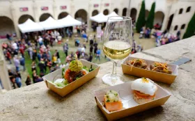 Verre de vin blanc et petites plats préparés