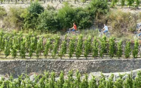  © OT Tournonais Hermitage FM