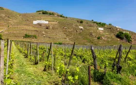  © Brunsky Photography