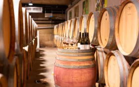 Chai d'élevage © Jeff Habourdin Photographe