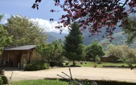  © DOUCET Angélique