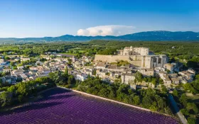 Vue aérienne château et lavandes © Loïc JULIEN-Châteaux de la Drôme