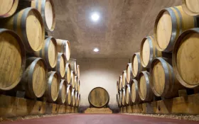 Cave - Domaine de Grangeneuve © Alexandre Bienfait