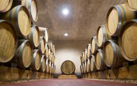 Cave - Domaine de Grangeneuve © Alexandre Bienfait
