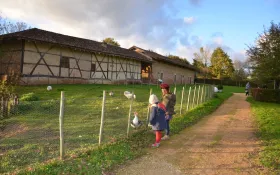 Elevage de volailles de Bresse sur le Domaine © © Département de l'Ain, Agathe Gaubert