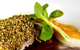 Auberge de Montfleury - St Germain Ardèche © Michel RISSOAN