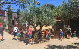  © Palais des Bonbons du Nougat et des Souvenirs