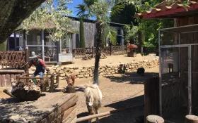  © Palais des Bonbons du Nougat et des Souvenirs