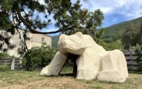 l'Ours du Vercors au pied du Séquoia