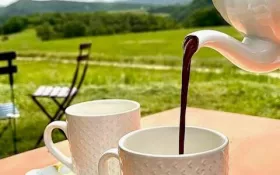  © Chocolaterie Frigoulette