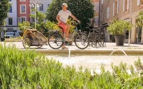  © les petits dromois