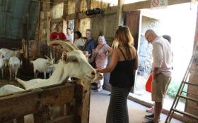 Visite d'une ferme de chèvres du Pilat © DR / Rhône trip