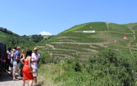 Vue sur le vignoble © DR Rhône trip