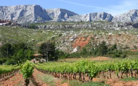  © DR / Domaine Terre de Mistral