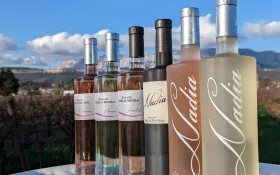  © DR / Domaine Terre de Mistral