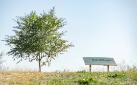  © M_W_Le-Guide-Sesame_8423