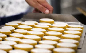  © Juliette Treillet