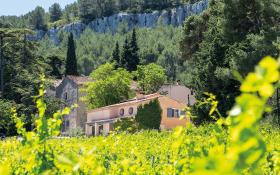  © EvanDeSousa_Chateau Barbanau