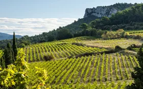  © EvanDeSousa_Château Barbanau