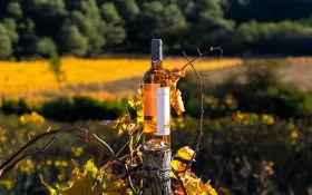  © EvanDeSousa_Château Barbanau