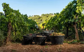  © EvanDeSousa_Château Barbanau