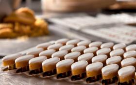  © DR / Chocolaterie de Puyricard