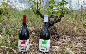  © Château de Champ-Renard