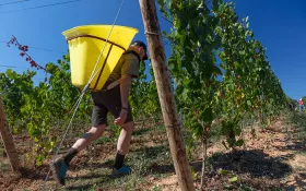  © Château de Champ-Renard