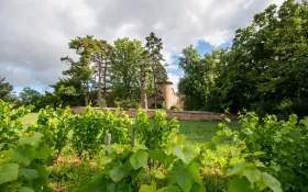  © Château de Champ-Renard