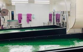 Laboratoire Spiruline © EARL La Perdrerie