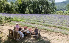  © Anna Puig Rosado-L'Essentiel de Lavande