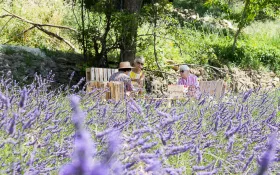  © Anna Puig Rosado-L'Essentiel de Lavande