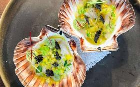  © Le Bistronome en Beaujolais