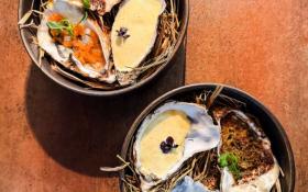  © Le Bistronome en Beaujolais