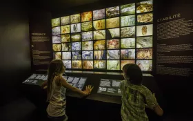  © Franck Charton - Grotte Chauvet 2 Ardèche