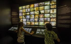  © Franck Charton - Grotte Chauvet 2 Ardèche