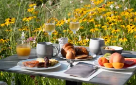  © @Alexandre Bienfait