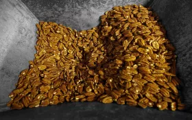 Fruits_Huilerie_Beaujolaise © Huilerie Beaujolaise