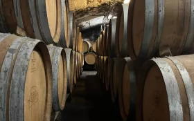  © Château de Lachassagne