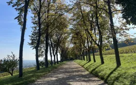  © Château de Lachassagne