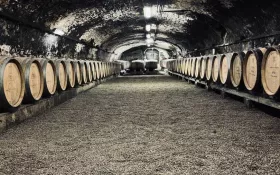  © Château de Lachassagne