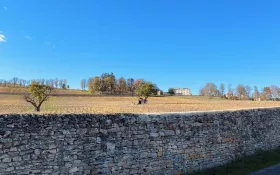  © Château de Lachassagne